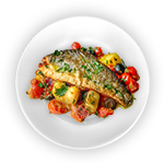 Salmon Fish 